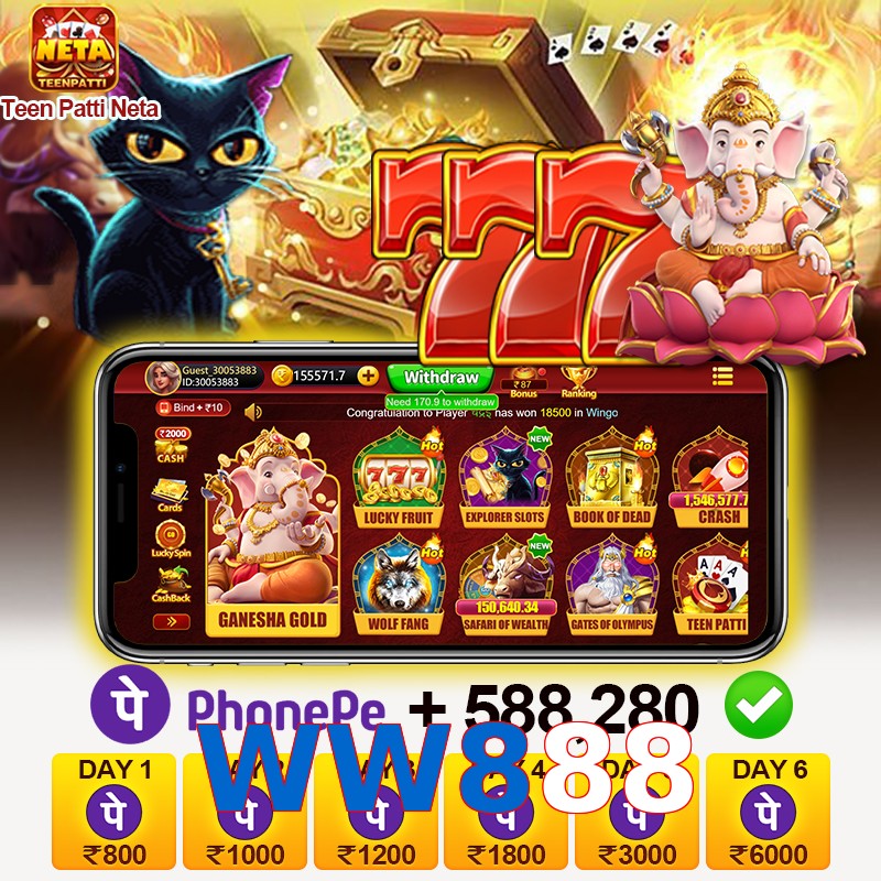 WW888