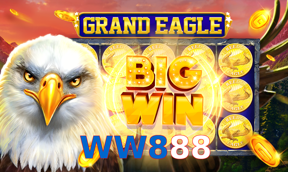 WW888