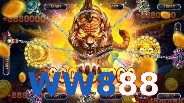 WW888