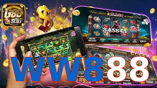 WW888