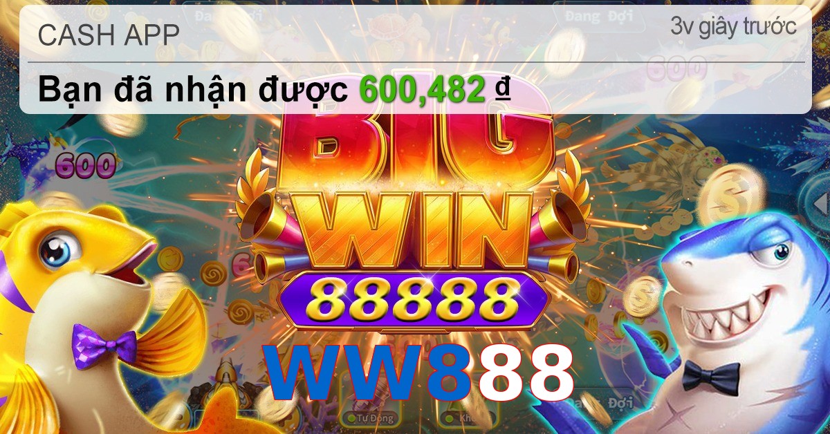 WW888