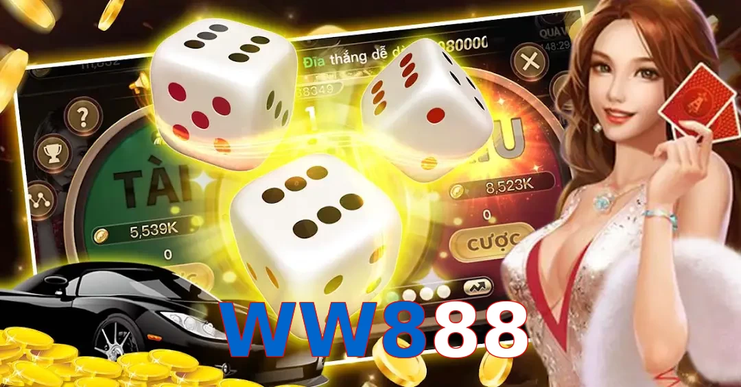 WW888
