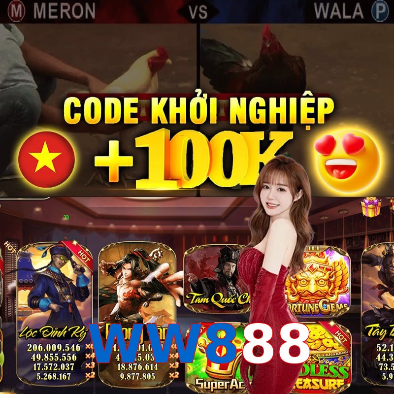 WW888